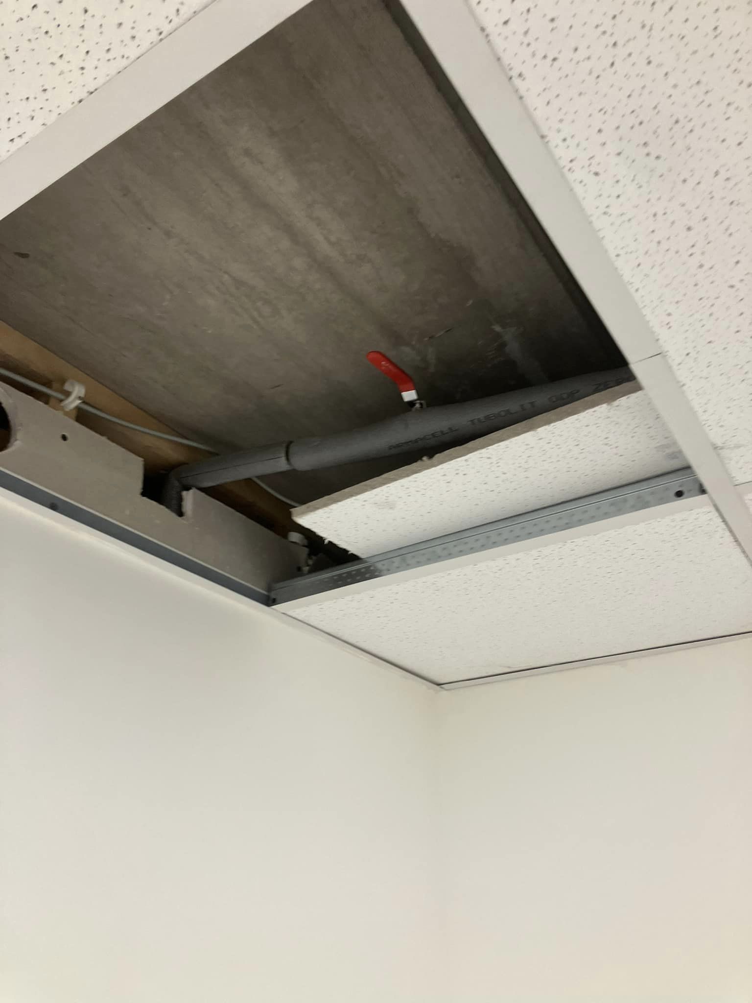 pipes in the ceiling